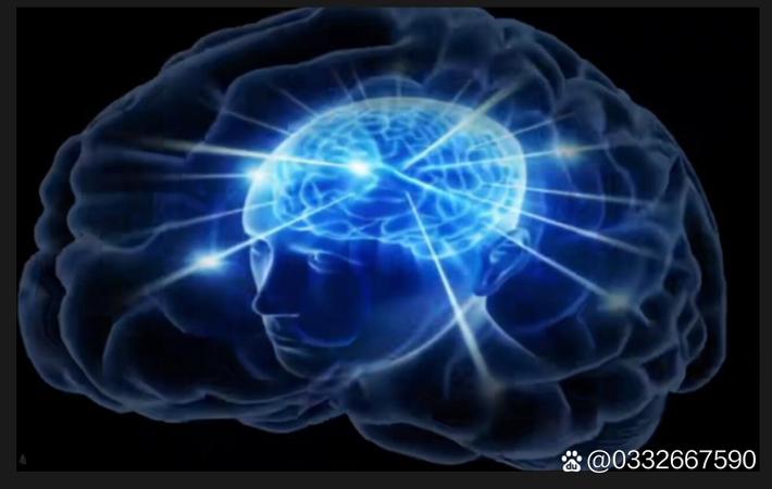 李梦琪明星照片